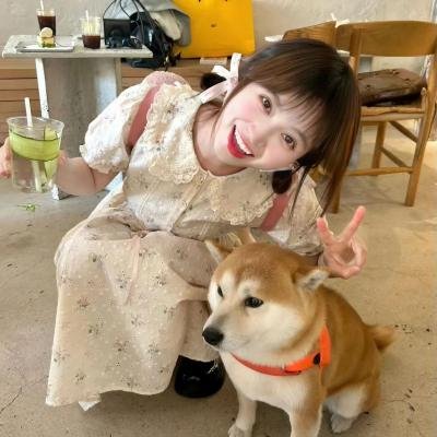 秋月春花