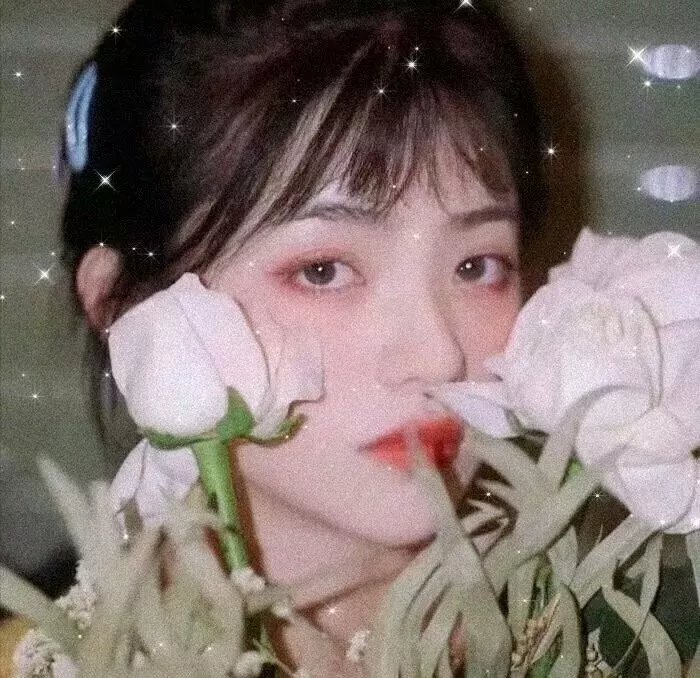 圣麒麟传说